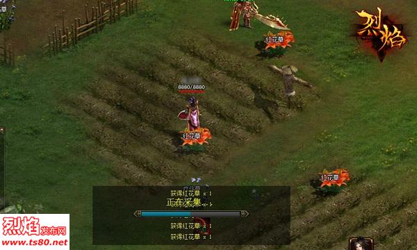 烈焰私服庄园采集,在玩烈焰中也是必修课 烈焰私服庄园采集,在玩烈焰中也是必修课